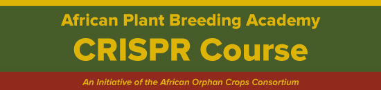 CRISPR course banner