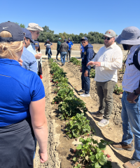 PBA students at strawberry field